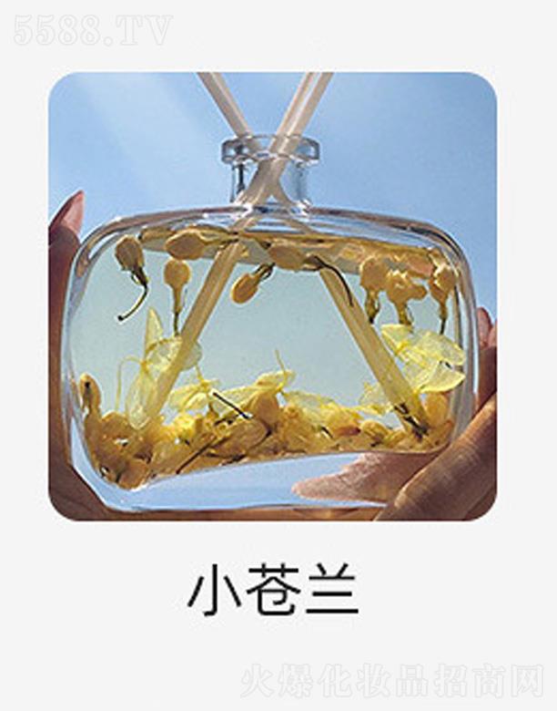 VƼ޹˾o(w)޹-Сnm