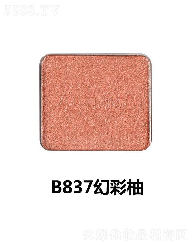 VyƷ޹˾ΨӰP(pn)MB837ò