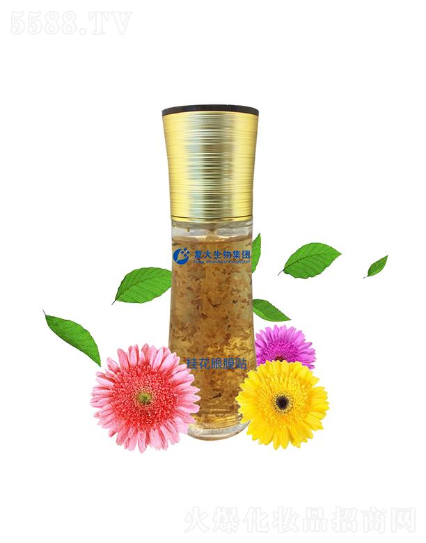 ɽ|(f)Ƽ޹˾(f)ＯF(tun)ĤNӹ