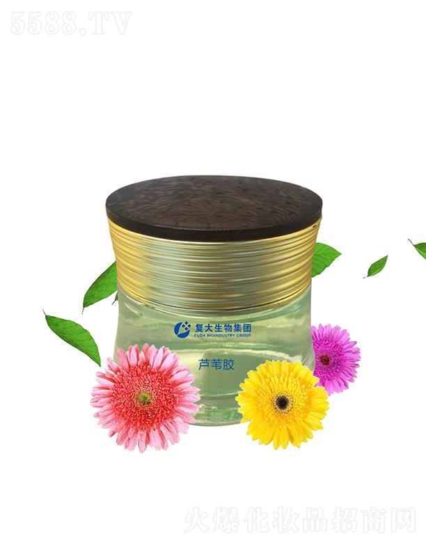 ɽ|(f)Ƽ޹˾(f)ＯF(tun)JCzӹ