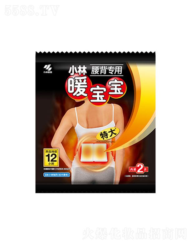 СˎЇ(gu)޹˾Сů(zhun)2Ƭ