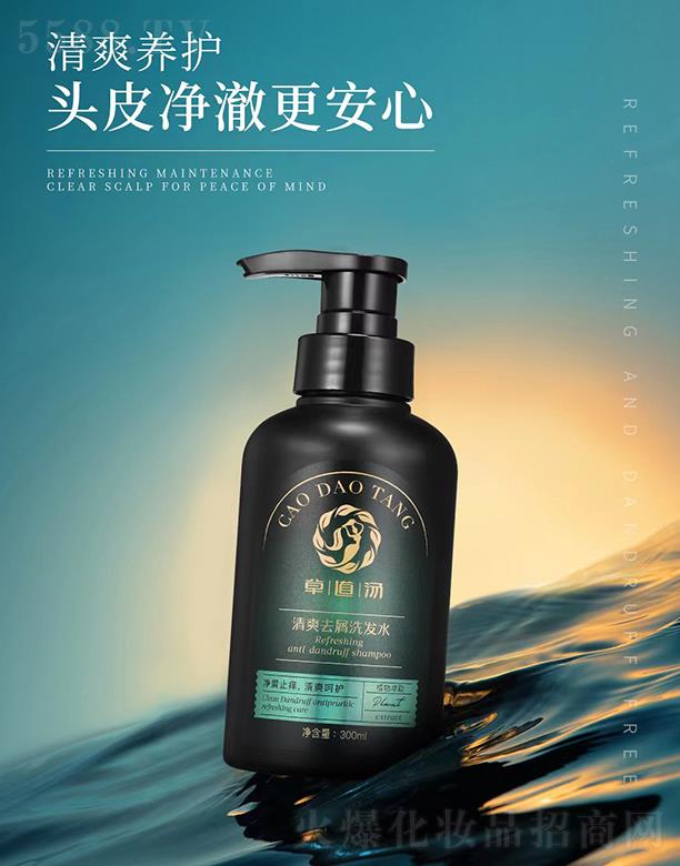 ݵˬȥмϴl(f)ˮ 300ml