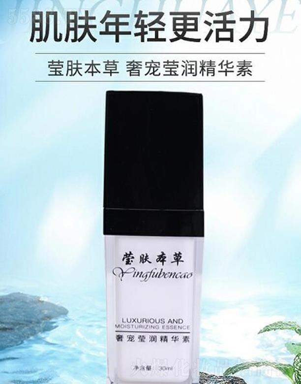 ���w�����݌��������A��